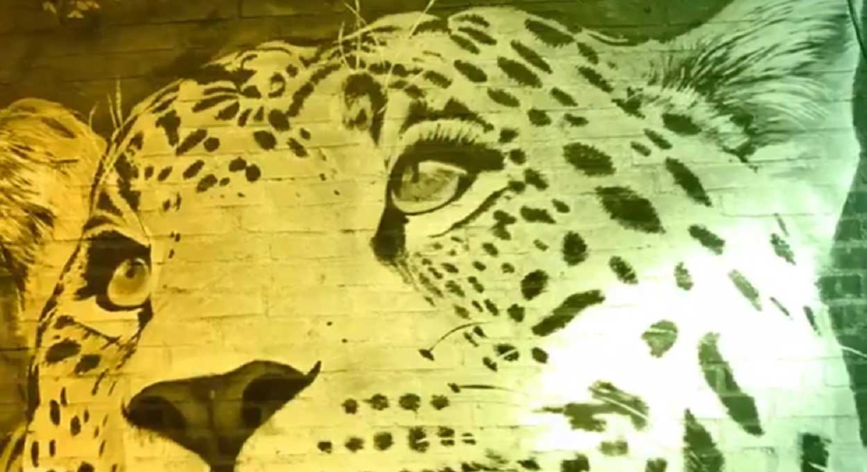 Dia da Onça será celebrado neste sábado (25) em Puerto Iguazú