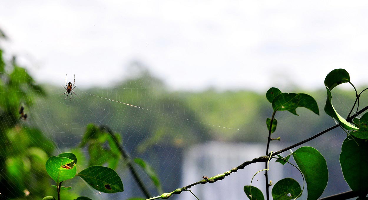 Semana começa chuvosa em Foz do Iguaçu – veja a previsão