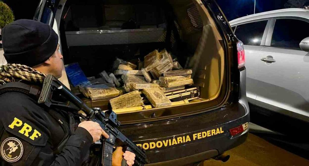 Fronteira faz Paraná bater recorde histórico em apreensão de maconha
