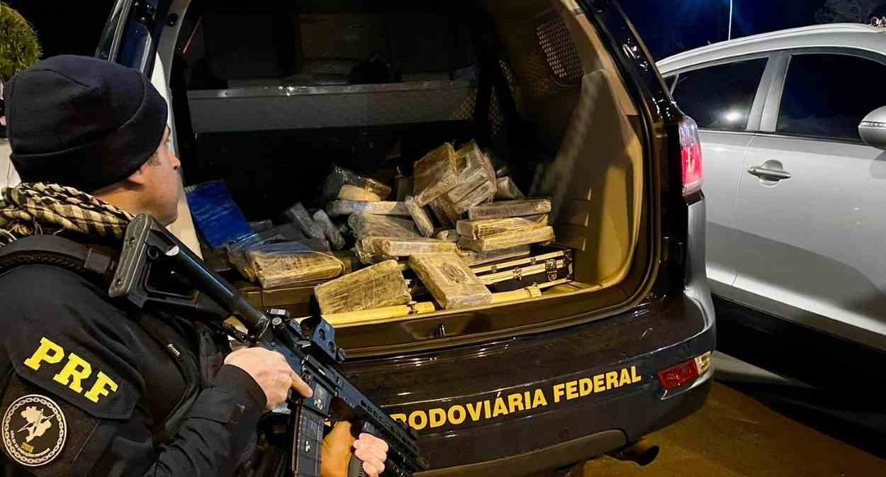 Fronteira faz Paraná bater recorde histórico em apreensão de maconha