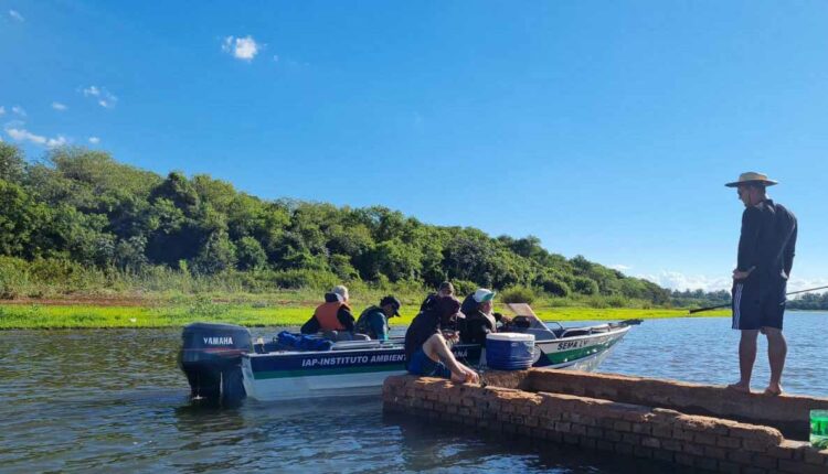 Pausa na pesca é necessária para permitir a reprodução de espécies nativas. Foto: Gentileza/IAT-PR