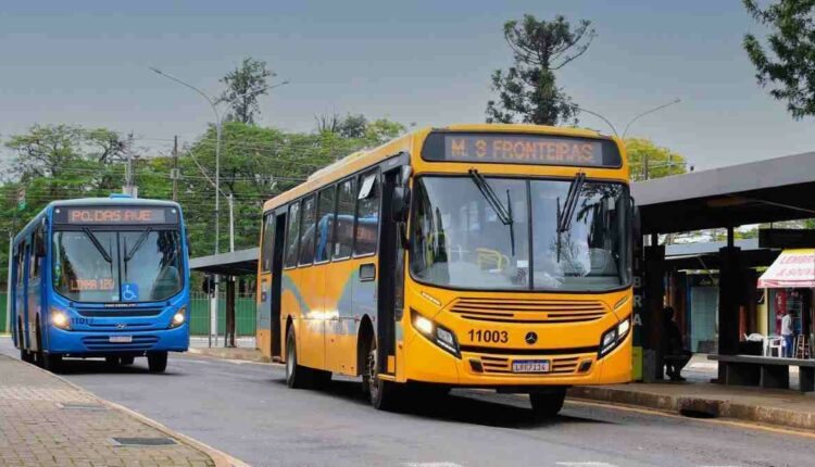 onibus em foz do iguaçu