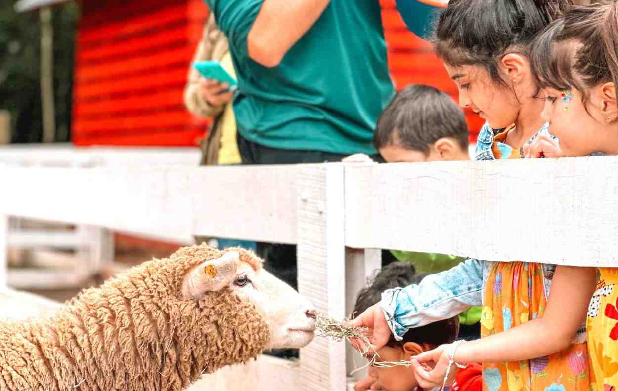 Eco Park tem entrada grátis para crianças até 6 anos em Foz do Iguaçu