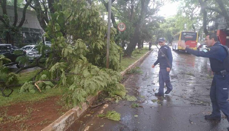 Equipes da Guarda Municipal, Defesa Civil e Foztrans fizeram a desobstrução das vias afetadas. Foto: Gentileza/GM