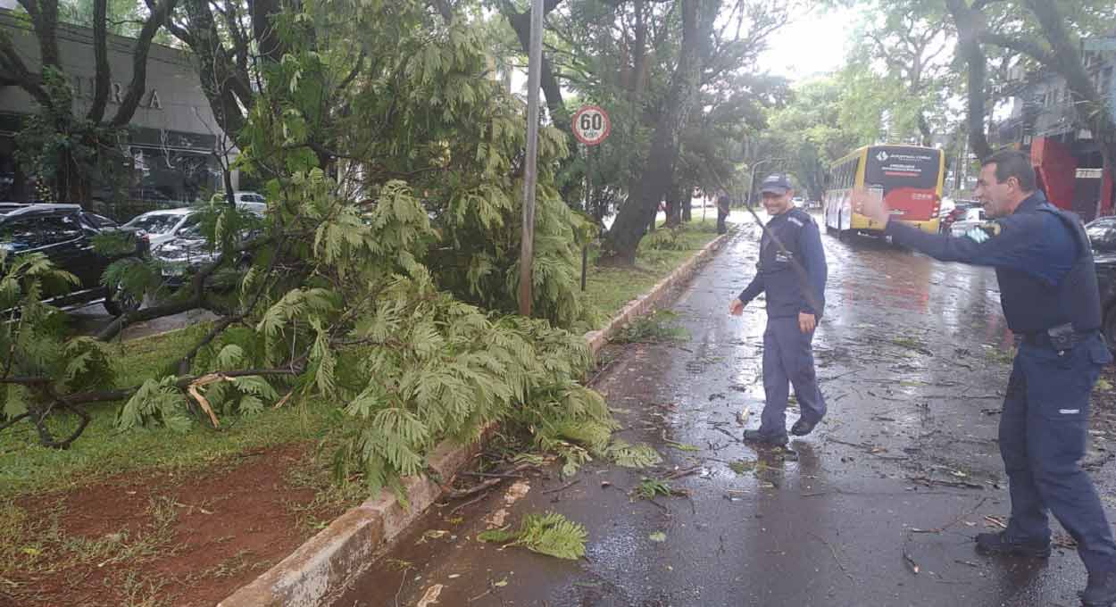 Equipes da Guarda Municipal, Defesa Civil e Foztrans fizeram a desobstrução das vias afetadas. Foto: Gentileza/GM