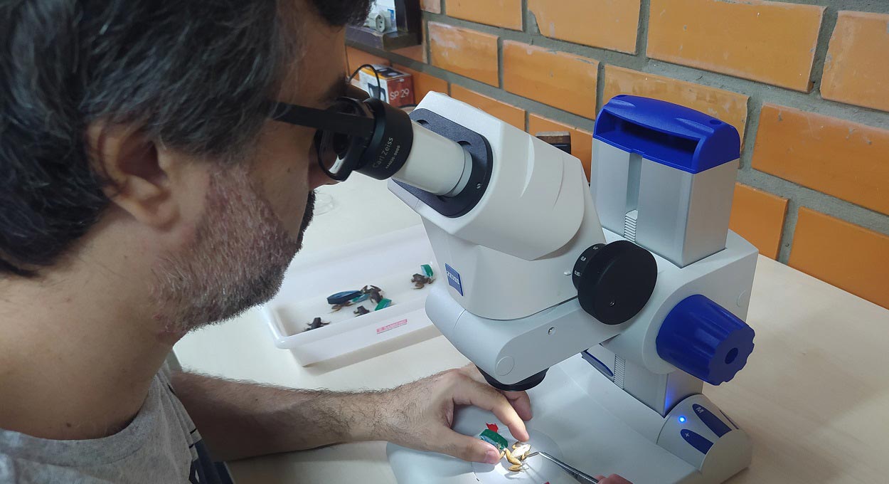 Mestrado em Biodiversidade Neotropical da Unila está com inscrições abertas