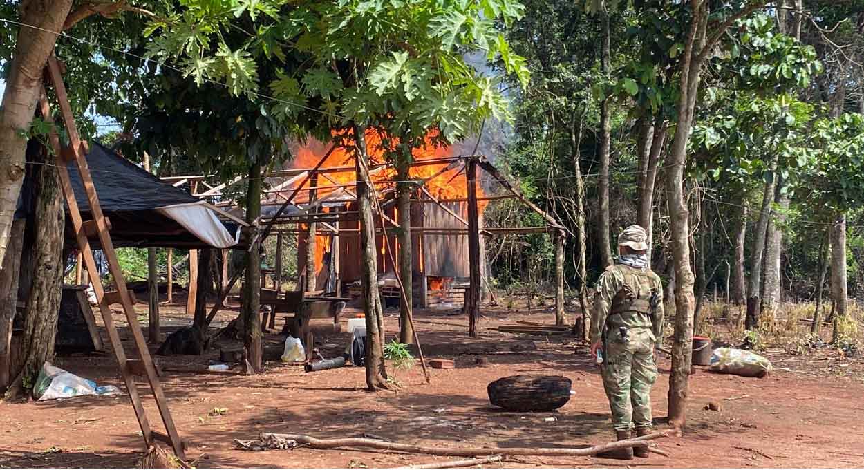 Operação destrói 327 toneladas de maconha na fronteira