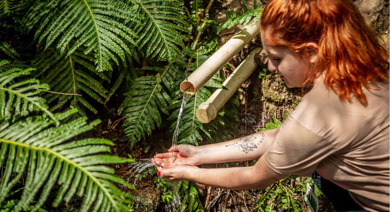 Itaipu participa da COP 28 nos Emirados Árabes Unidos