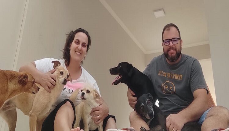 Após a viagem de Natal, casal optou passar a virada do ano em casa, para confortar os animais