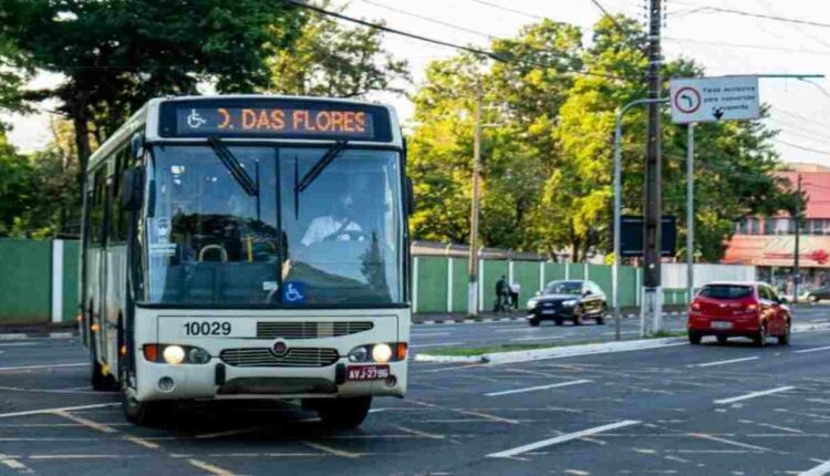 onibus em foz do iguacu