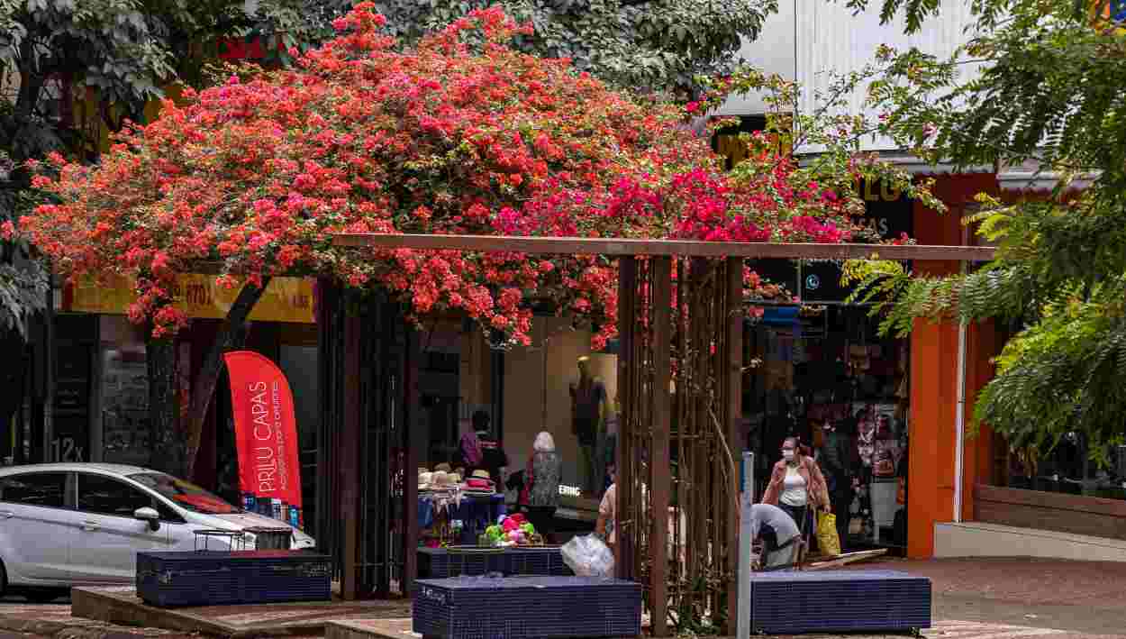 Servidores estaduais recebem 13.º antecipado, com injeção de R$ 2,2 bilhões na economia