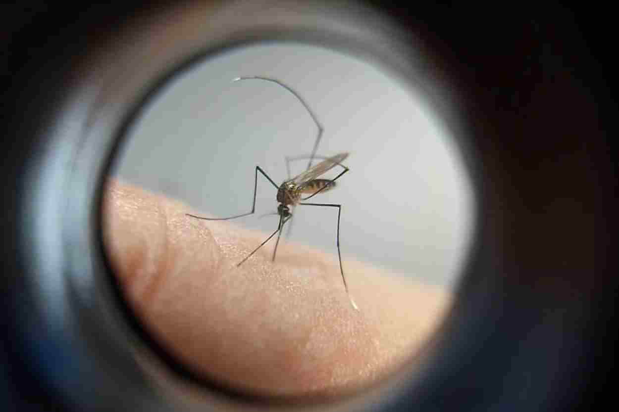 Foz do Iguaçu registra mais de 5 mil notificações e 221 casos de dengue