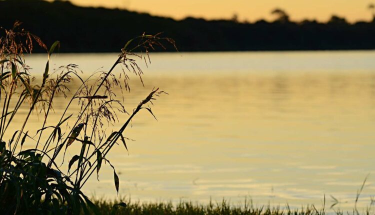 Praia pública no lago de Itaipu segue fechada, mas cidade tem várias opções de locais com sombra e água fresca. Foto: Marcos Labanca/H2FOZ