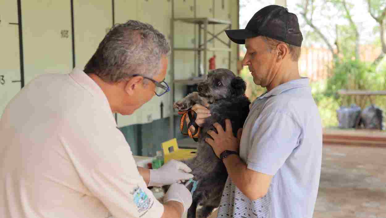 Prefeitura não atingiu nem a metade da meta de vacinação antirrábica