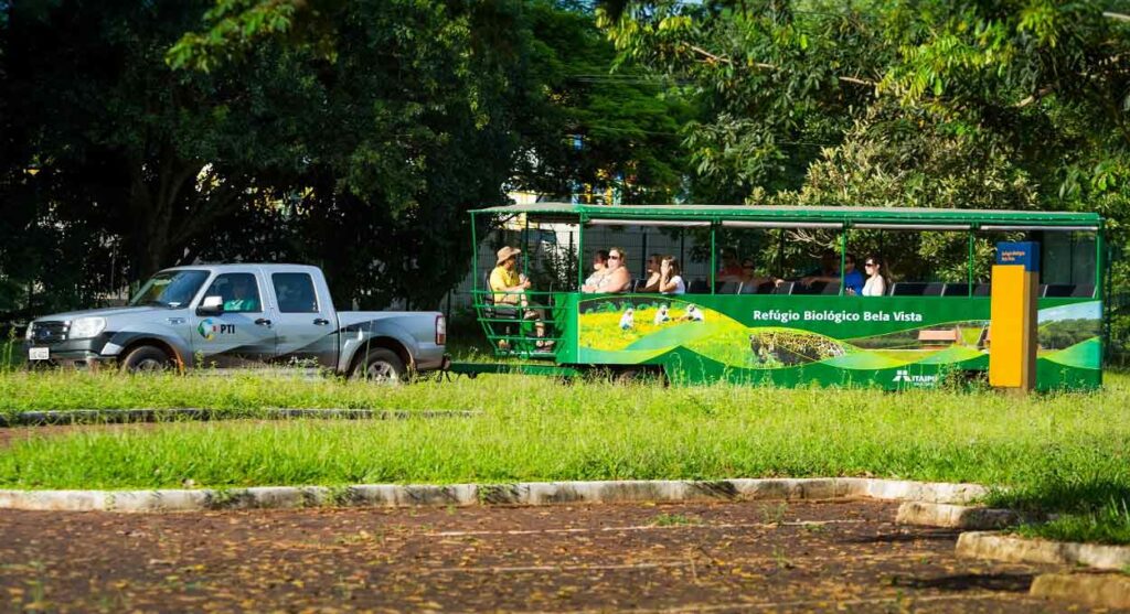 Vídeo mostra onça caçando capivara em refúgio de Foz do Iguaçu