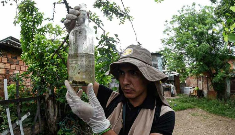 Equipes estão intensificando as campanhas de eliminação do mosquito Aedes aegypti. Foto: Gentileza/Ministério da Saúde do Paraguai