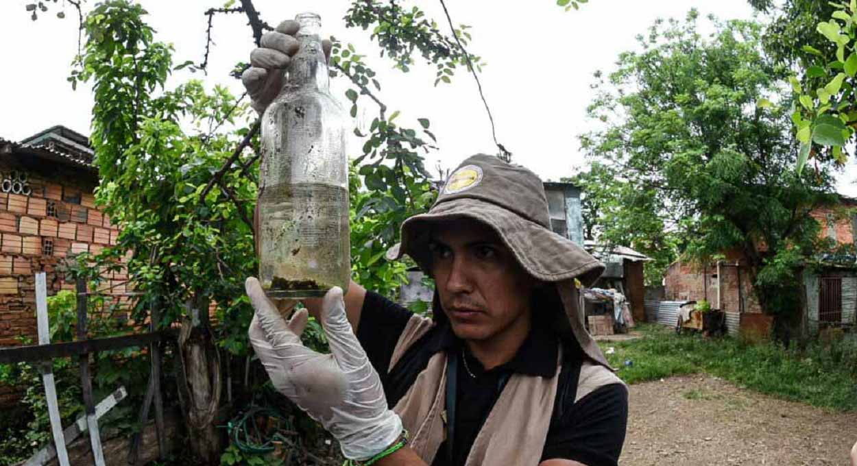Casos de dengue em crianças preocupam autoridades do Paraguai
