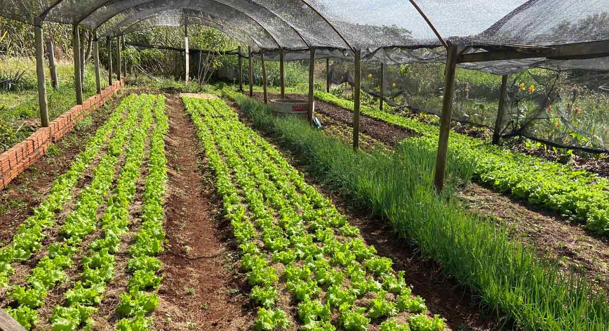 Convênio firmado por Itaipu vai beneficiar agricultores da região