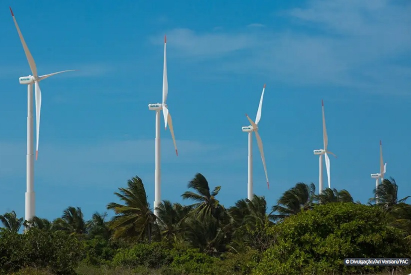 Energia eólica. Parece limpa, mas não é
