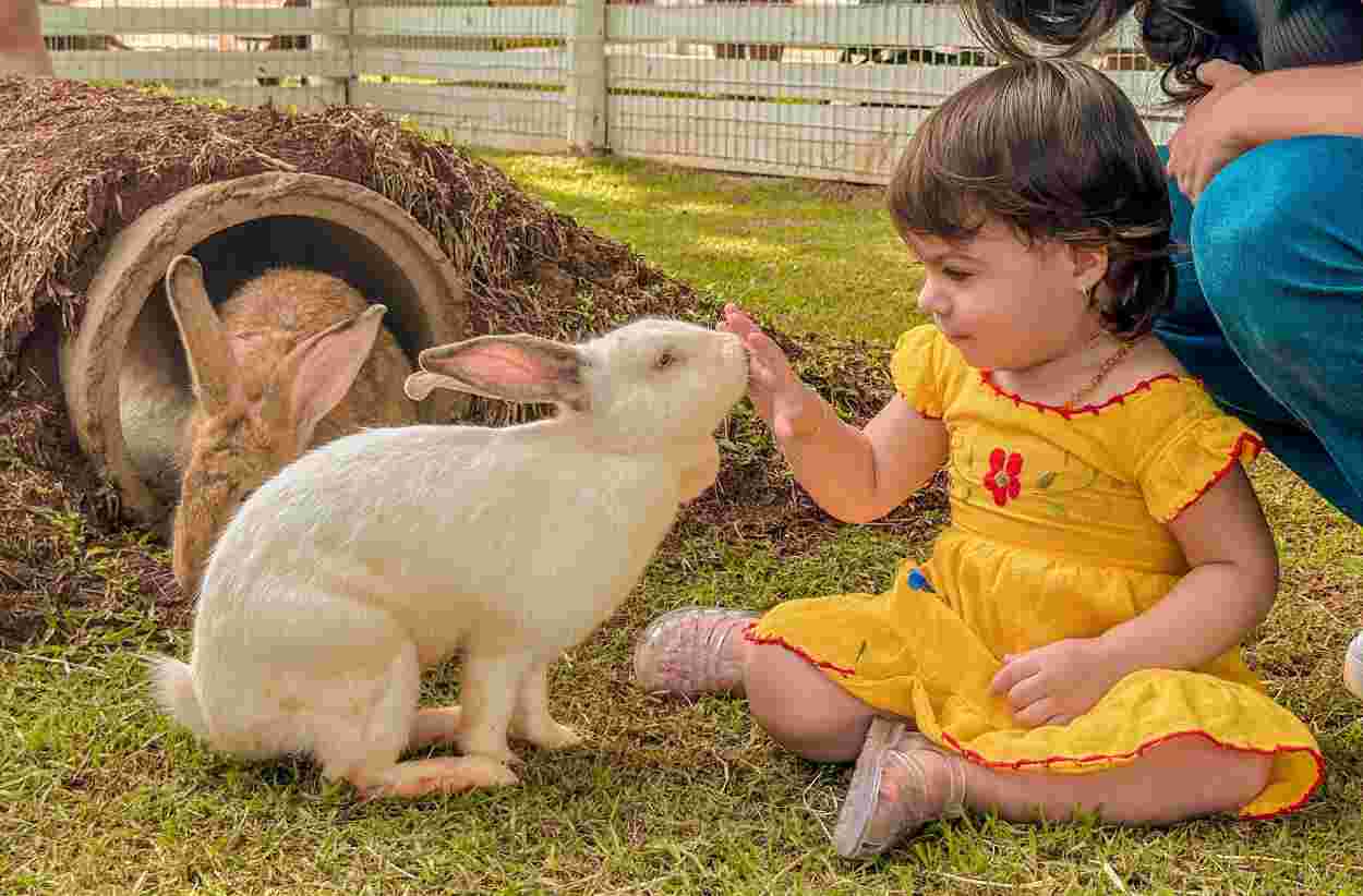 Morador acompanhado de visitante curte o Eco Park de graça