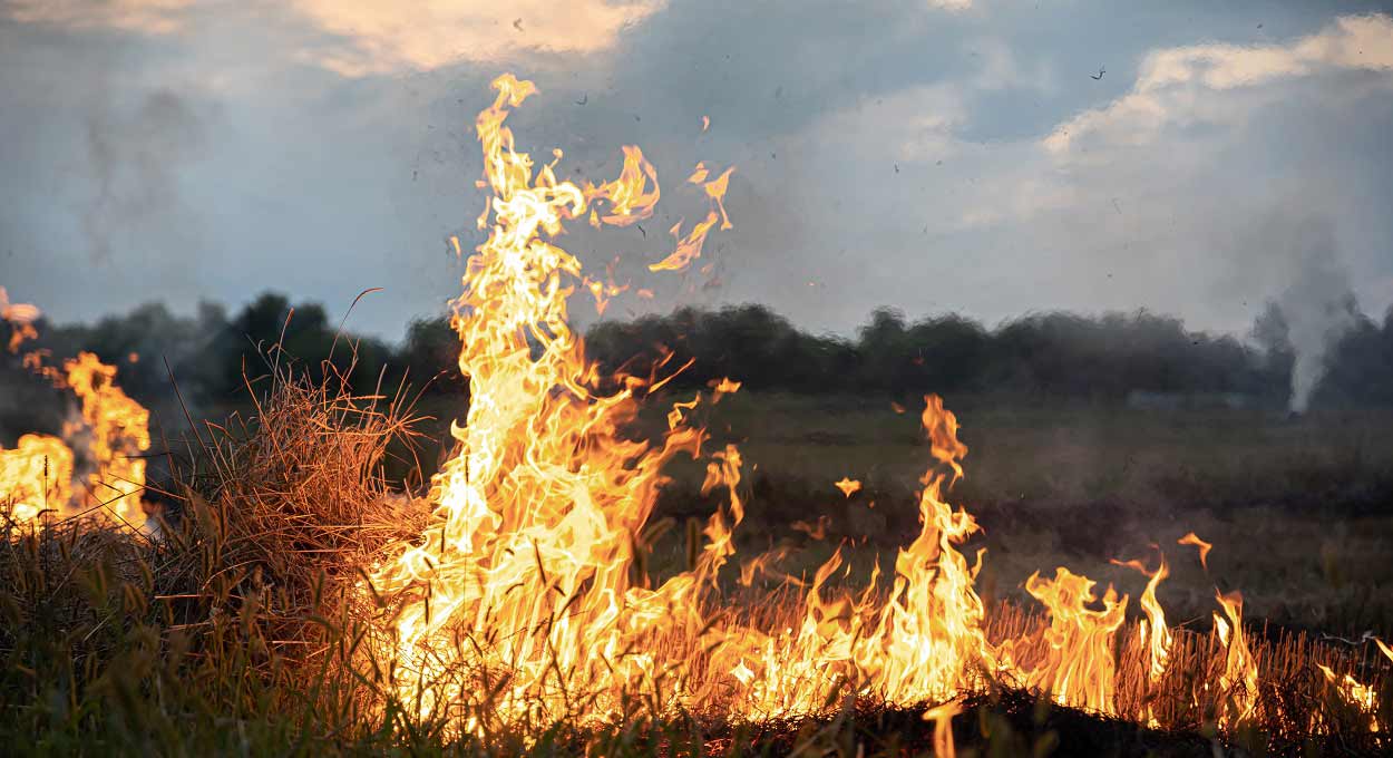 Lado argentino tem alerta laranja para risco de incêndios florestais