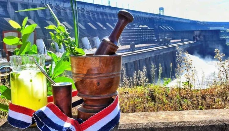 Diferentemente do mate argentino e do chimarrão brasileiro, o tererê paraguaio é consumido gelado. Foto: Gentileza/Itaipu Binacional (Paraguai)