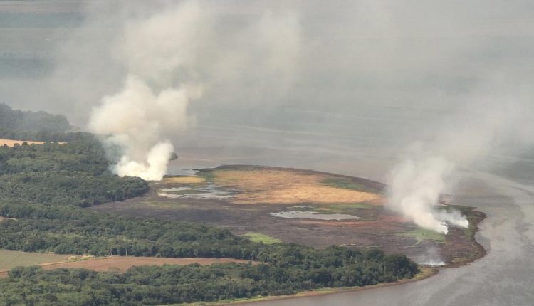 Brigadistas suspeitam que alguns dos incêndios foram propositais. Foto: Gentileza/Brigada Florestal de Itaipu