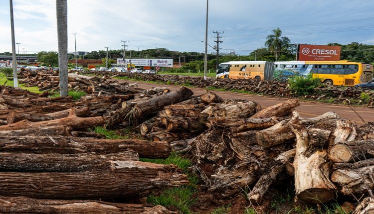 Entre derrubar um imóvel ou uma área verde, sempre a natureza vai pagar o pato