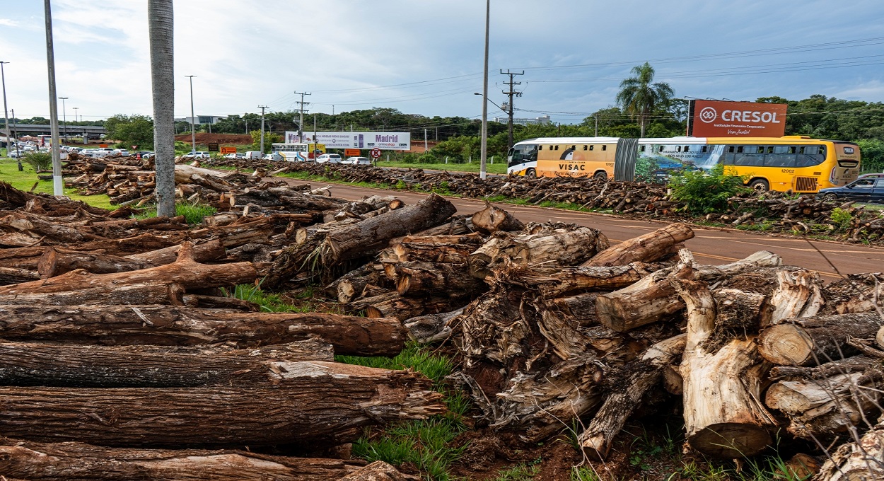 Entre derrubar um imóvel ou uma área verde, sempre a natureza vai pagar o pato