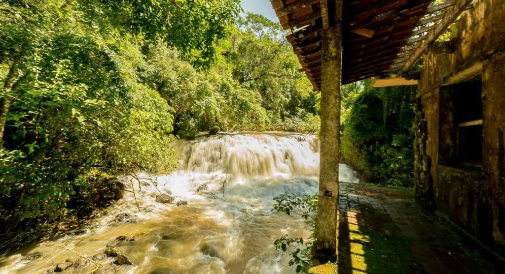 Patrimônio do Parque Nacional do Iguaçu é tema de pesquisa na Unila