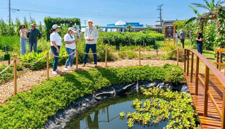 Agroecologia será um dos temas abordados pela binacional no evento. Foto: Sara Cheida/Itaipu Binacional