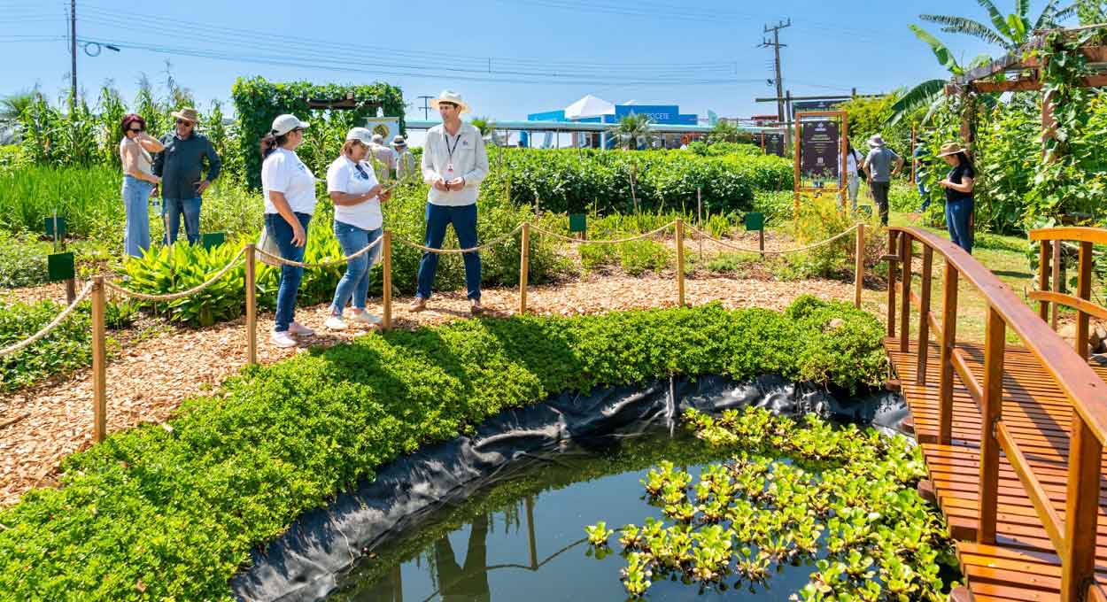 Itaipu levará tecnologia para o Show Rural 2024 em Cascavel