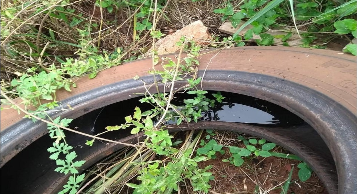 Lixo, calor e dengue. Uma tempestade perfeita