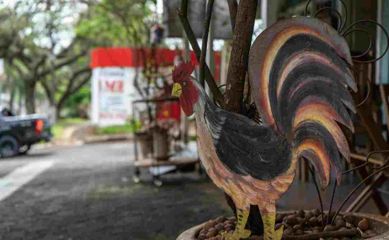abre e fecha carnaval