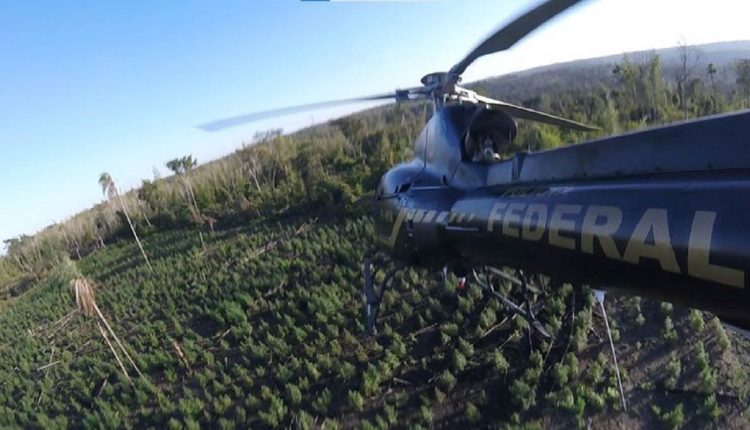Helicóptero da Polícia Federal auxilia no acesso aos locais mais remotos. Foto: Gentileza/Polícia Federal