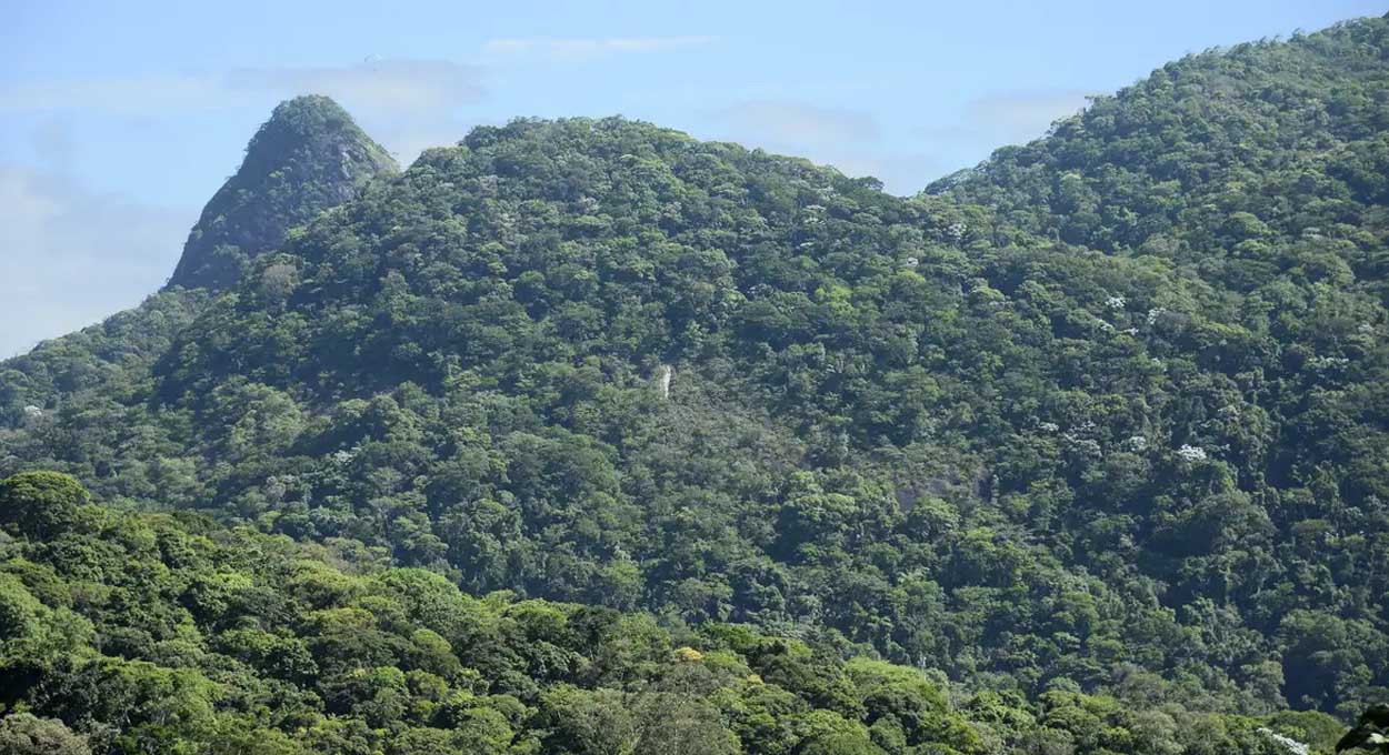 Lançamento, Economia paranaense e Institutos federais