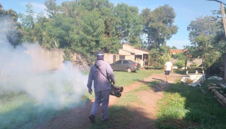 Ações de fumigação contra o mosquito Aedes aegypti na periferia de Puerto Iguazú. Foto: Gentileza/Prefeitura de Puerto Iguazú