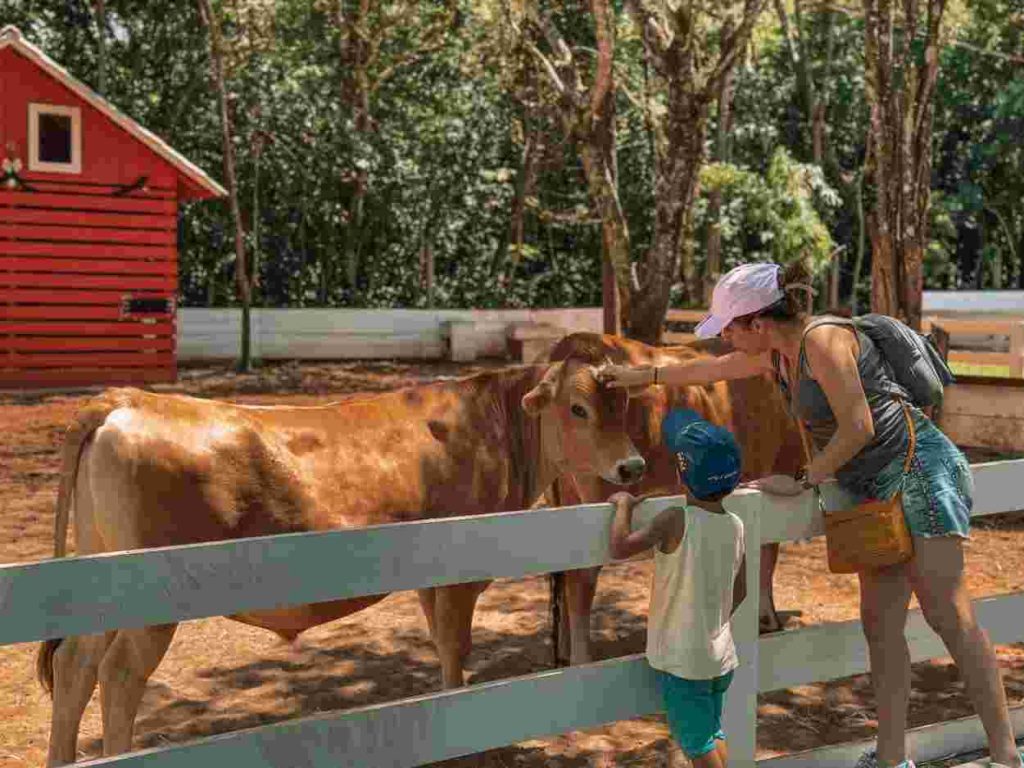 Fazendinha em Foz do Iguaçu terá programação especial de Páscoa