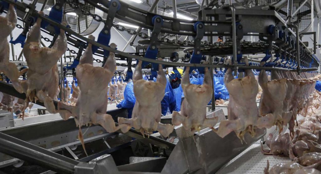 Produtor e exportador, Cursos gratuitos e Situação de emergência
