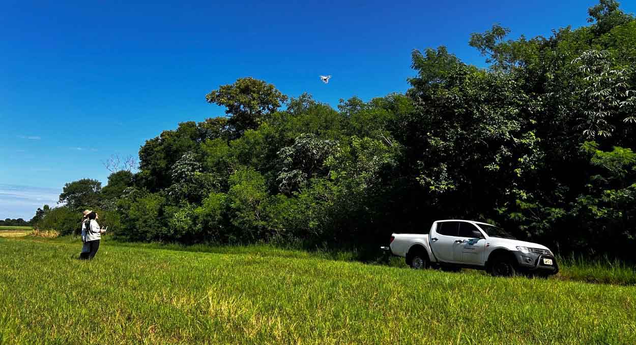 Itaipu e Embrapa iniciam inventário florestal na margem brasileira