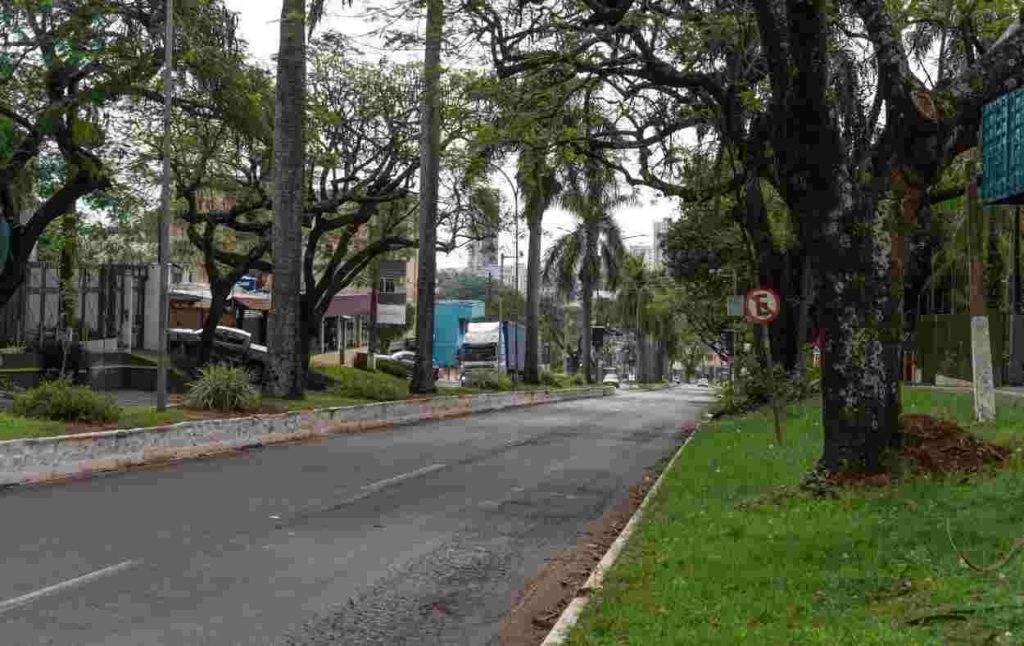 Núcleo Vila Yolanda dialoga com entidades pela revitalização da Avenida das Cataratas