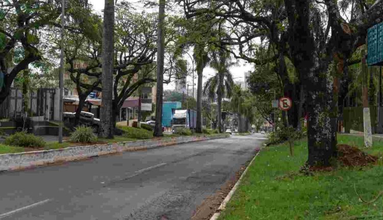 avenida das cataratas