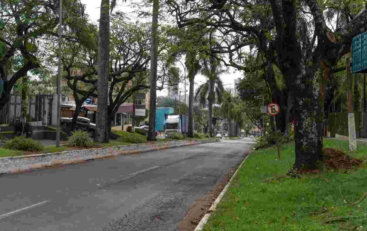 Núcleo Vila Yolanda dialoga com entidades pela revitalização da Avenida das Cataratas