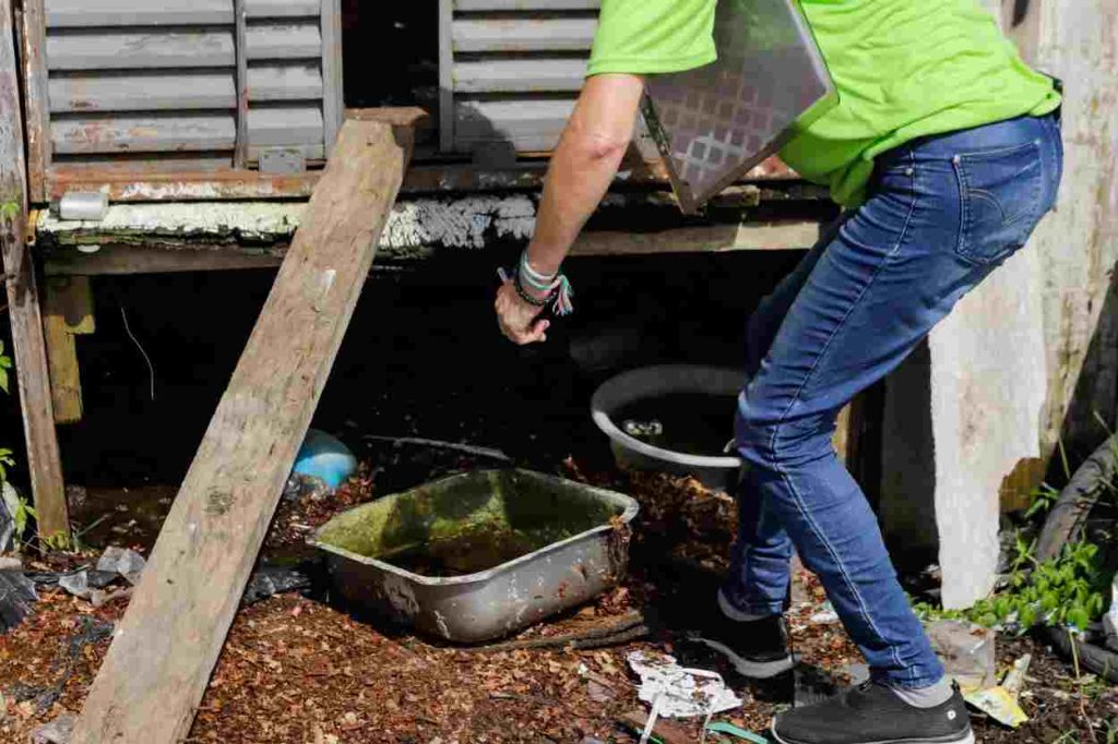Dez minutos para combater a dengue em casa