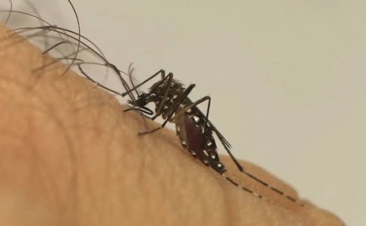 Foz do Iguaçu registra 1.000 novas notificações de dengue em uma semana