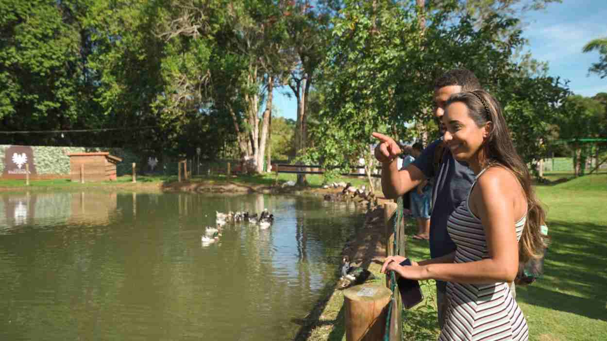Fazendinha em Foz do Iguaçu terá visitação gratuita para mulheres no fim de semana
