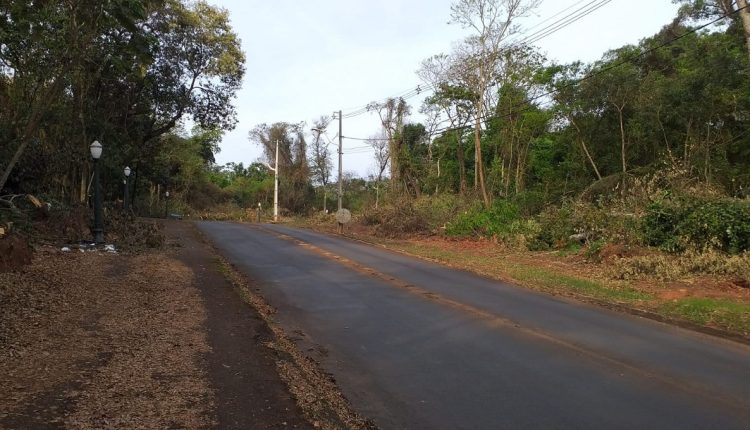 Em nome do progresso, a natureza é abocanhada.