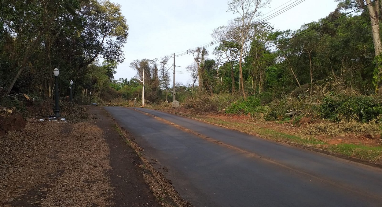 Em nome do progresso, a natureza é abocanhada.