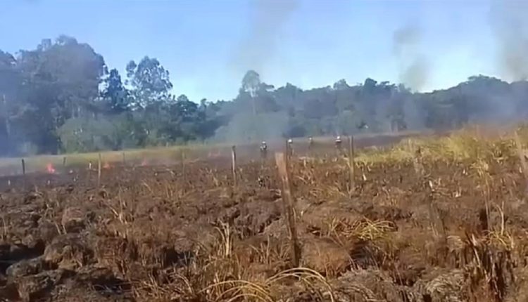 Filmagem divulgada por portais como o Actualizate Iguazú mostra o enfrentamento ao incêndio.