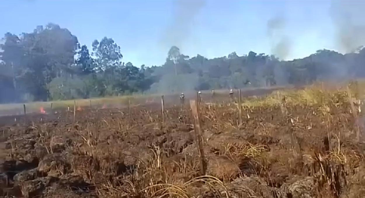 Filmagem divulgada por portais como o Actualizate Iguazú mostra o enfrentamento ao incêndio.